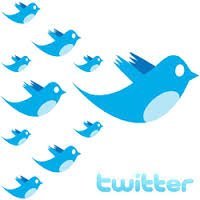 get more free followers on twitter