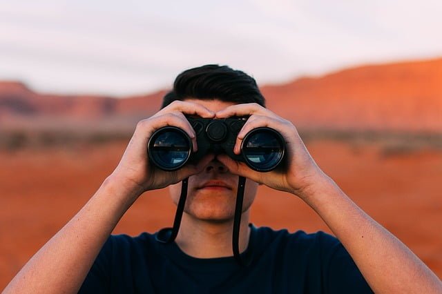 search engine consultants
