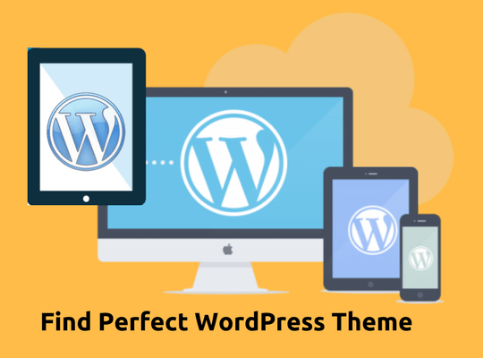Best WordPress Theme for Blog