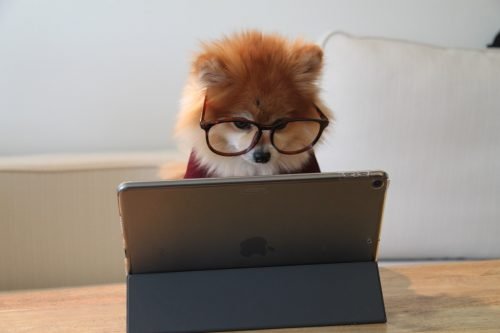 improve reader's experience